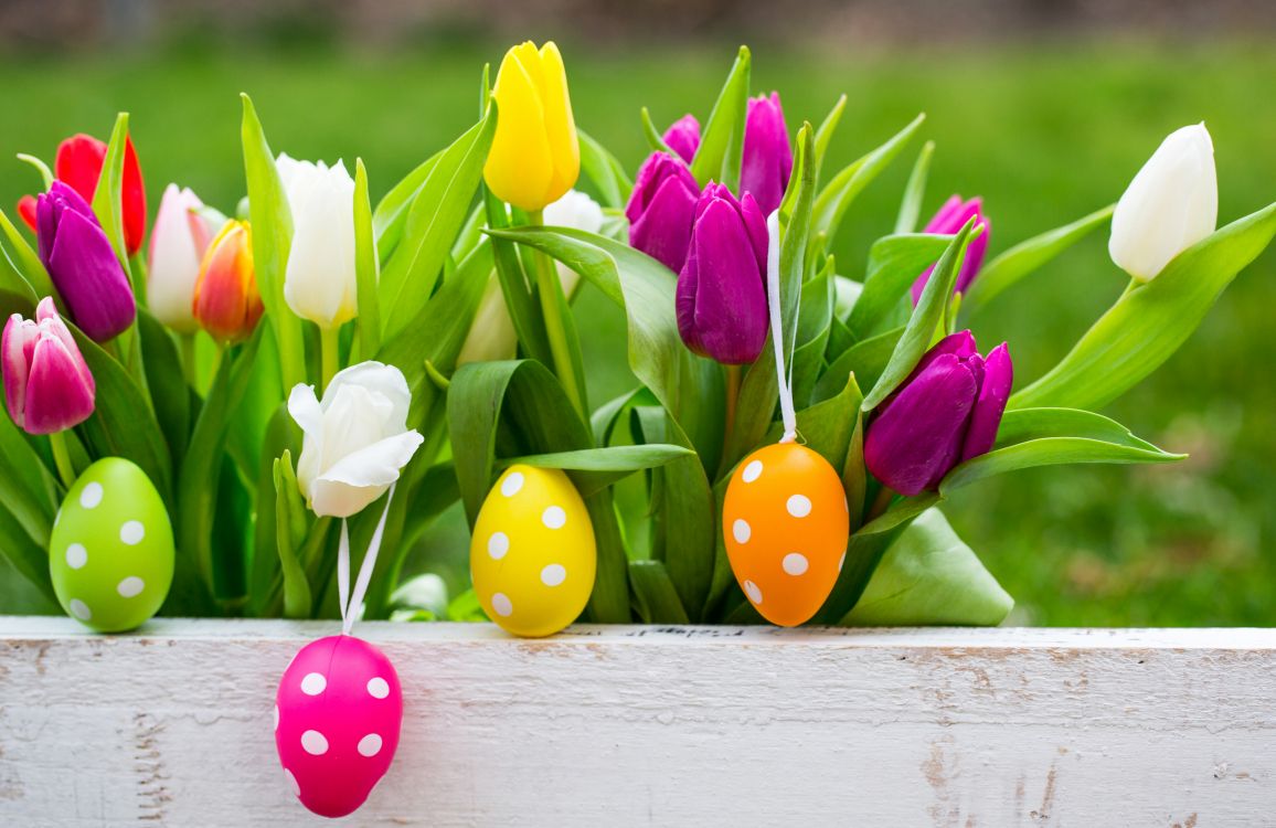 easter bunny, easter egg, tulip, holiday, flower