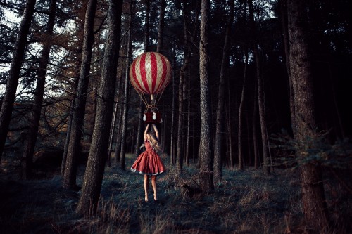 Image nature, plant, ecoregion, hot air balloon, People in nature