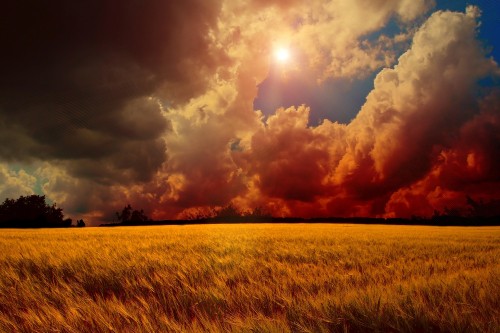 Image brown grass field under cloudy sky during sunset