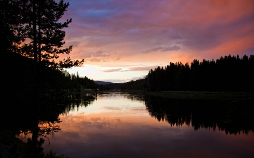 Image green trees beside body of water during sunset