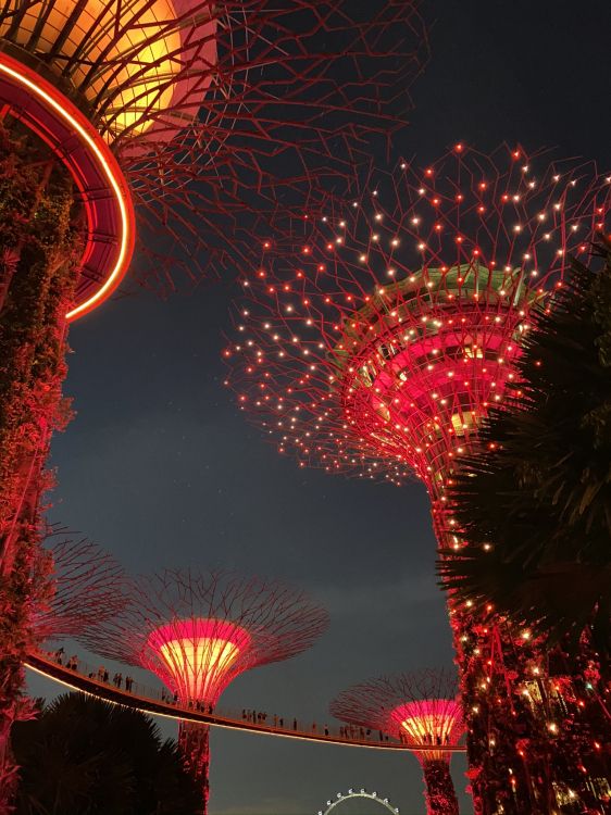 烟花, 新年前夕, 旅游景点, 红色的, 粉红色 壁纸 1536x2048 允许