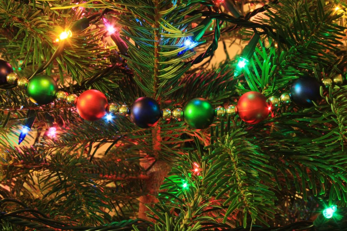 Immergrün, Christmas Ornament, Baum, Weihnachtsbaum, Weihnachtsdekoration. Wallpaper in 2048x1365 Resolution