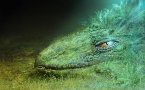 Image green crocodile on green grass