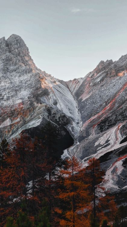 荒野, 自然景观, 斜坡, 落叶松, 高地 壁纸 1800x3200 允许