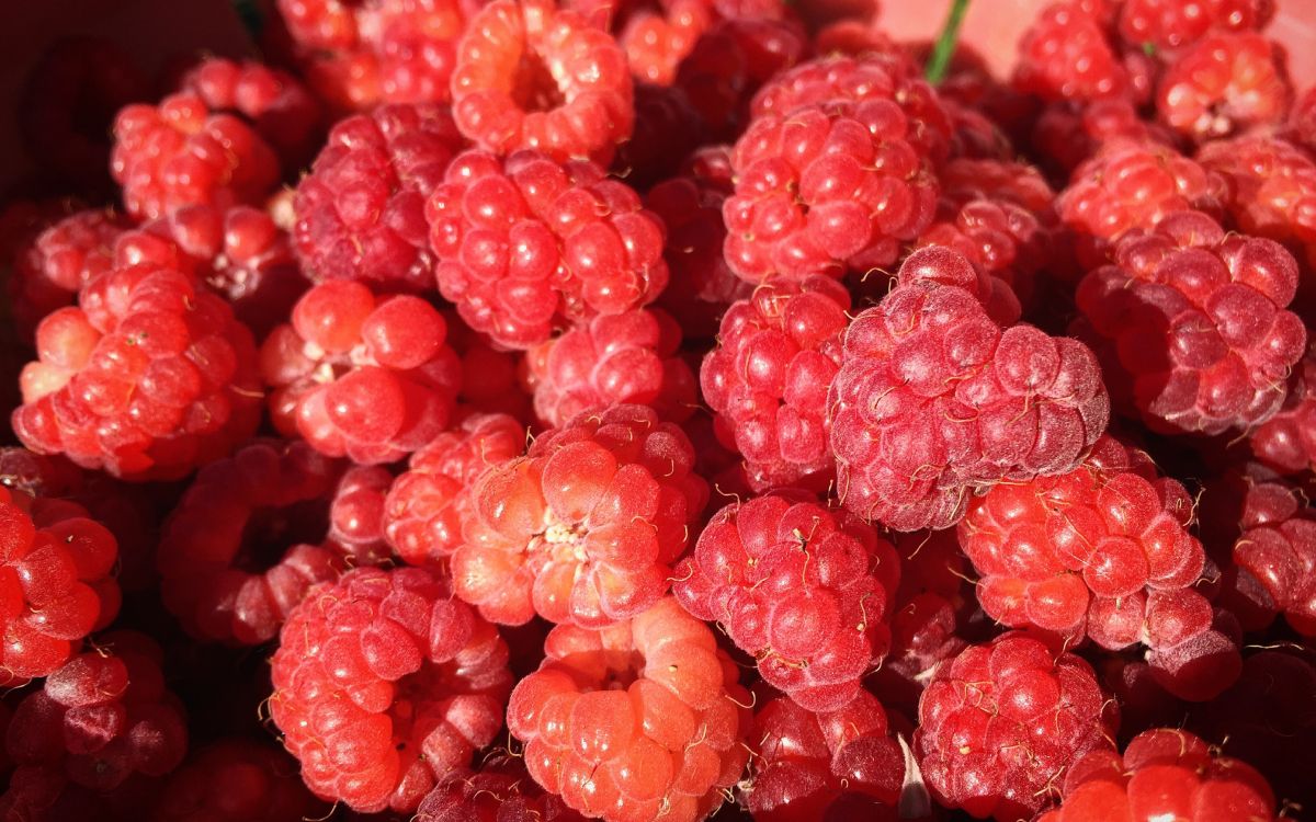 Frutas Redondas Rosadas en Fotografía de Cerca. Wallpaper in 2880x1800 Resolution