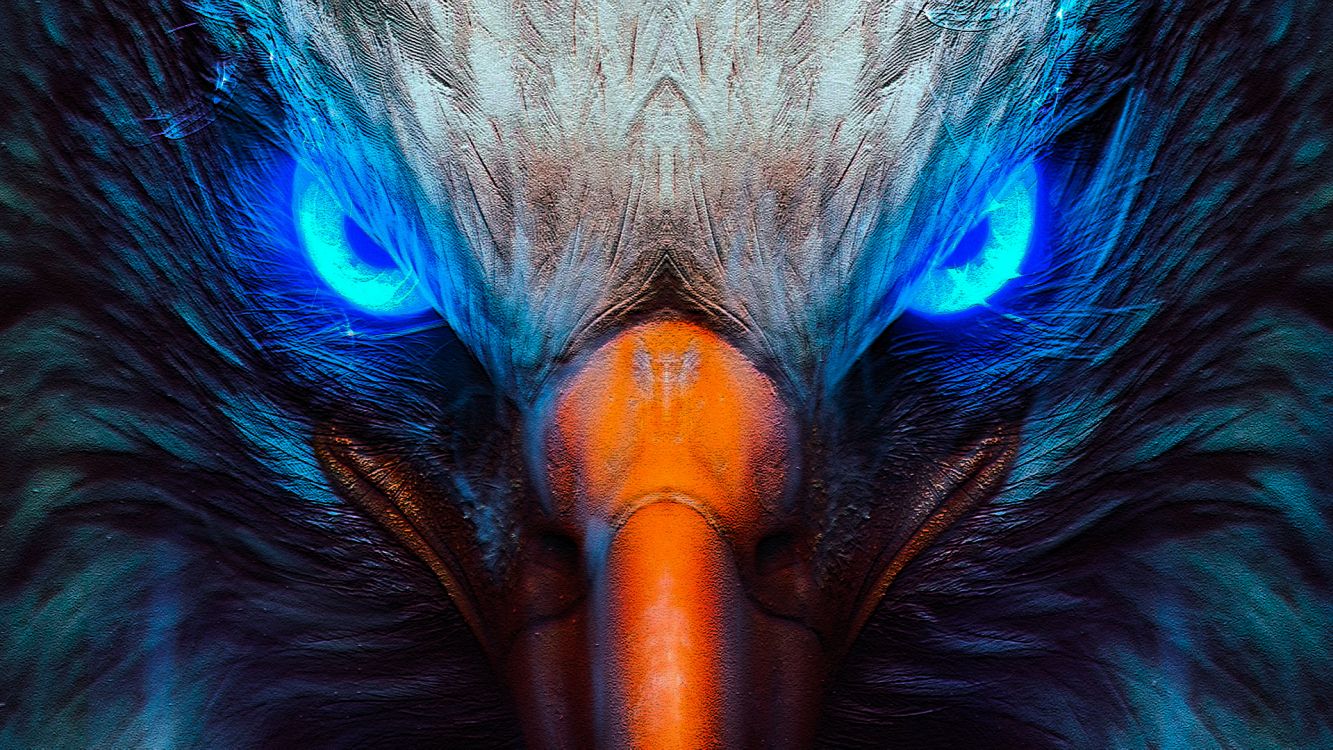 Golden Eagle, Aigle, Pygargues, Cheveu, Tête. Wallpaper in 1920x1080 Resolution