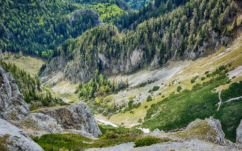 Image wilderness, song, plant, plant community, mountain