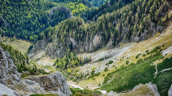 Image wilderness, song, plant, plant community, mountain