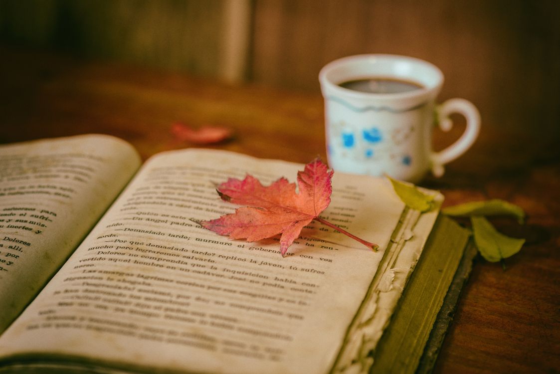 本书, 书评, 阅读, 咖啡杯, 粉红色 壁纸 6016x4016 允许