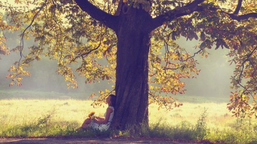 Image woman in white tank top sitting on green grass field near body of water during daytime