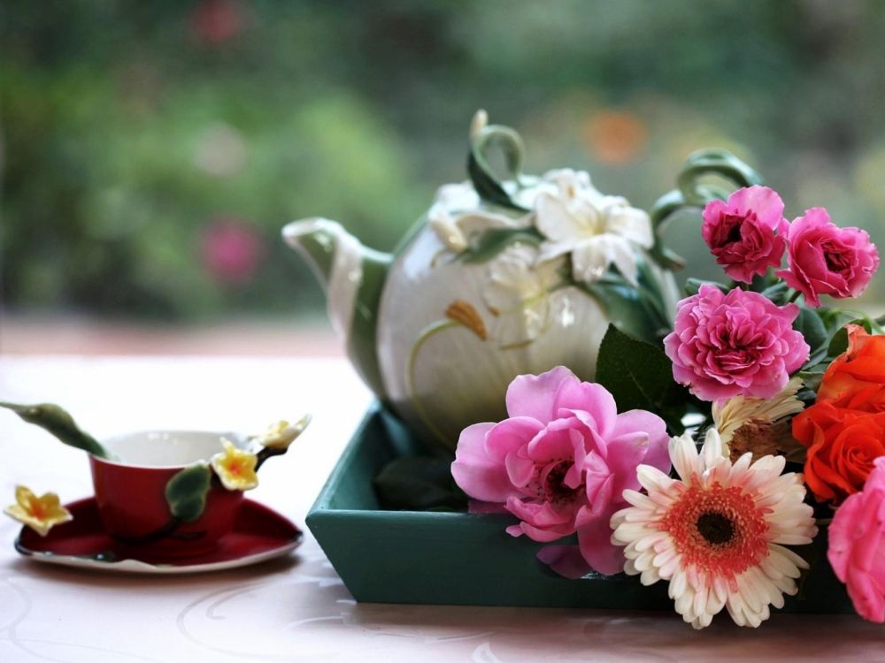 pink and white flowers in white ceramic teapot