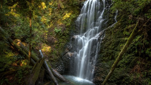 Image water falls in the middle of forest