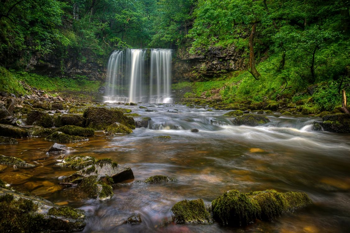 water falls in the middle of forest