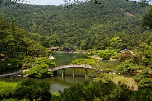 Image green trees near river during daytime