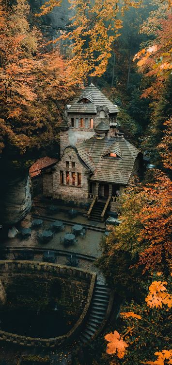 Gebäude, Fenster, Blatt, Naturlandschaft, Holz. Wallpaper in 1422x3000 Resolution