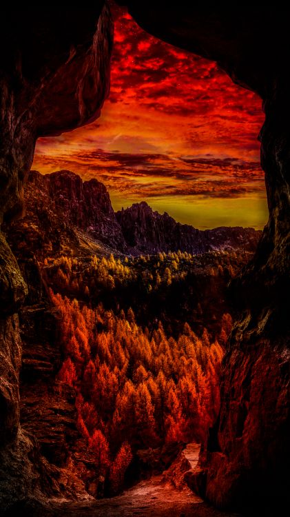 Nature, L'écorégion, Lumière, Paysage Naturel, Orange. Wallpaper in 3240x5760 Resolution