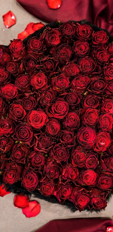Image red rose bouquet on white and red textile