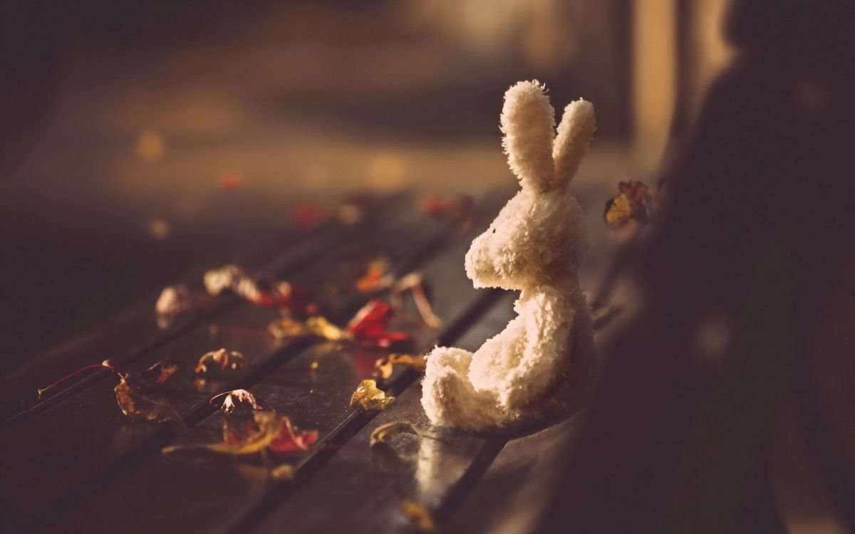 Pétale, Geste, Cuisine, Plat, Ingrédient. Wallpaper in 1920x1200 Resolution