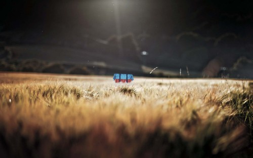 Image cloud, field, grass family, grass, atmosphere