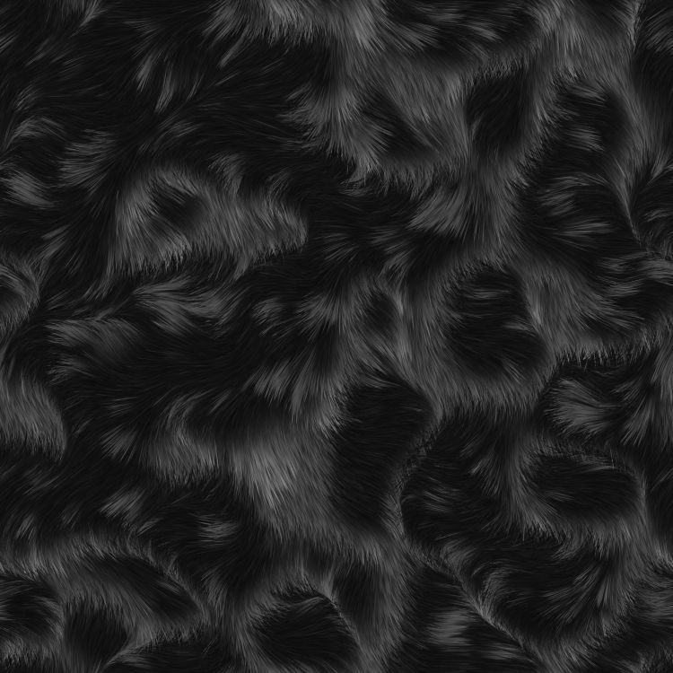 Patrón de Cebra Blanco y Negro. Wallpaper in 2000x2000 Resolution