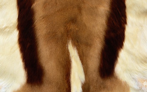 Image brown and white fur textile