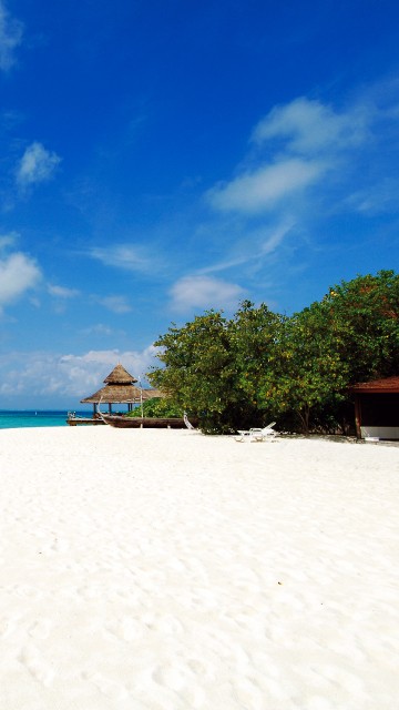 Image people on beach during daytime