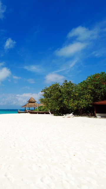 Image people on beach during daytime