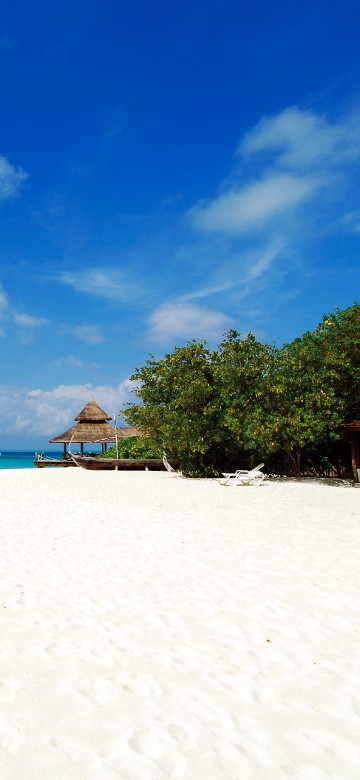 Image people on beach during daytime