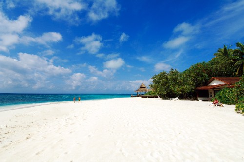 Image people on beach during daytime