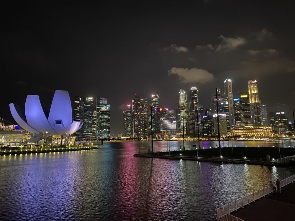 singapore, cityscape, night, city, tower block