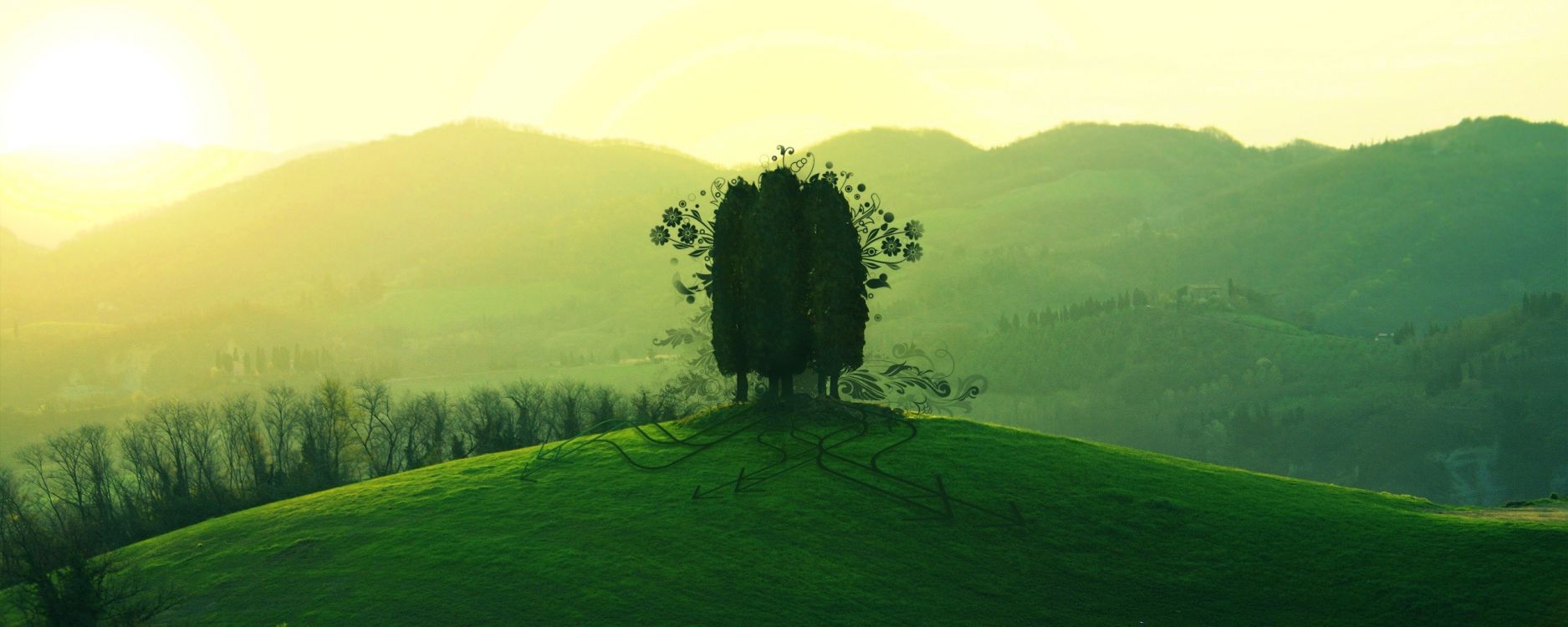 Grüner Baum Auf Grüner Wiese Tagsüber. Wallpaper in 2560x1024 Resolution