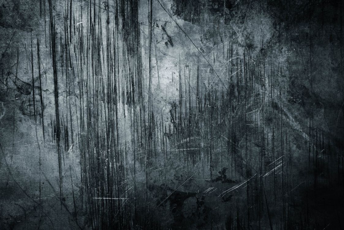 黑色的, 木, 气氛, 森林, 单色模式 壁纸 2816x1880 允许