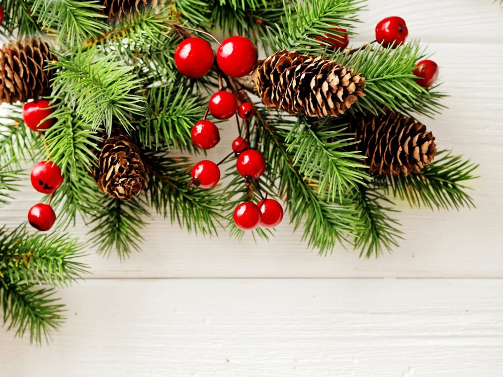 El Día De Navidad, Decoración de la Navidad, Adorno de Navidad, Pino, el Pino de la Familia. Wallpaper in 1920x1440 Resolution