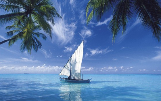 Wallpaper White Sail Boat on Blue Sea Under Blue Sky During Daytime