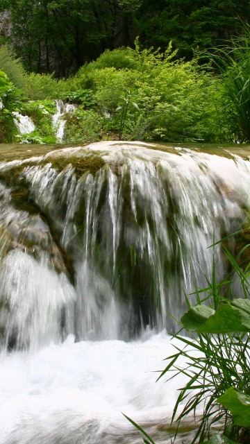 Image green plants beside waterfalls during daytime