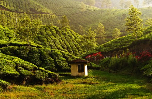 Image white and brown house on green grass field near mountain