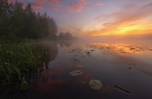 Image green grass near body of water during sunset