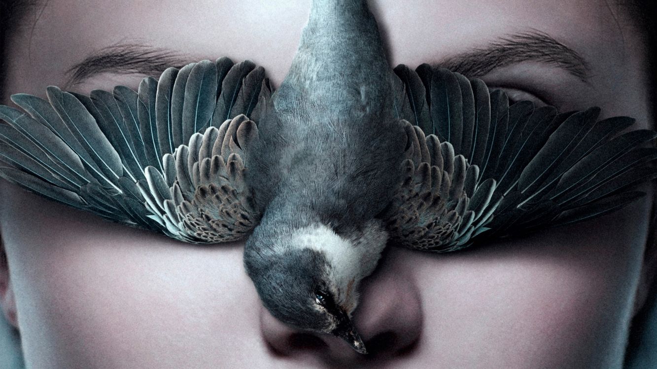 Drama, Filmgenre, Geheimnis, Film-poster, Regisseur. Wallpaper in 3840x2160 Resolution