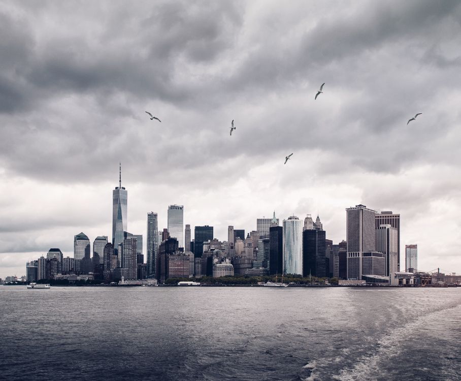 Vögel, Die Tagsüber Über Die Skyline Der Stadt Fliegen. Wallpaper in 3320x2740 Resolution