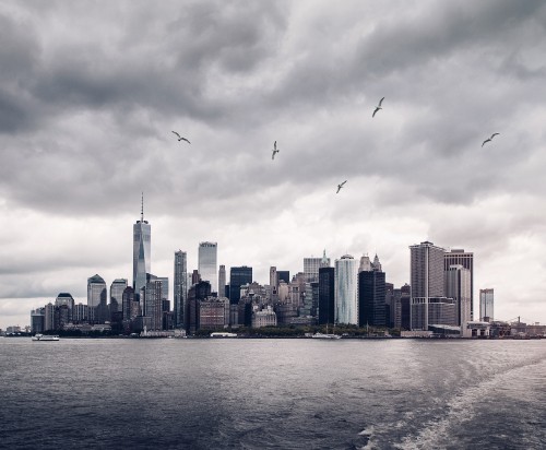 Image birds flying over city skyline during daytime