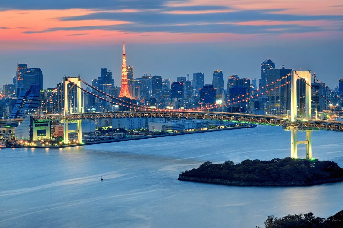 bridge over water near city skyline during night time