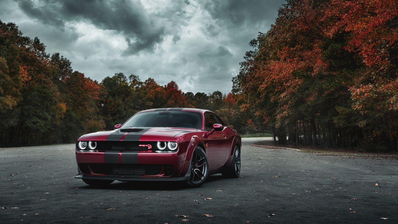 Dodge Charger SRT Hellcat, 2017 Dodge Challenger, Dodge, Rey, 2019 Dodge Challenger SRT Hellcat. Wallpaper in 3840x2160 Resolution