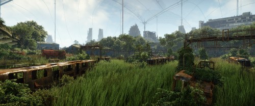 Image crysis 3, vegetation, biome, land lot, mill