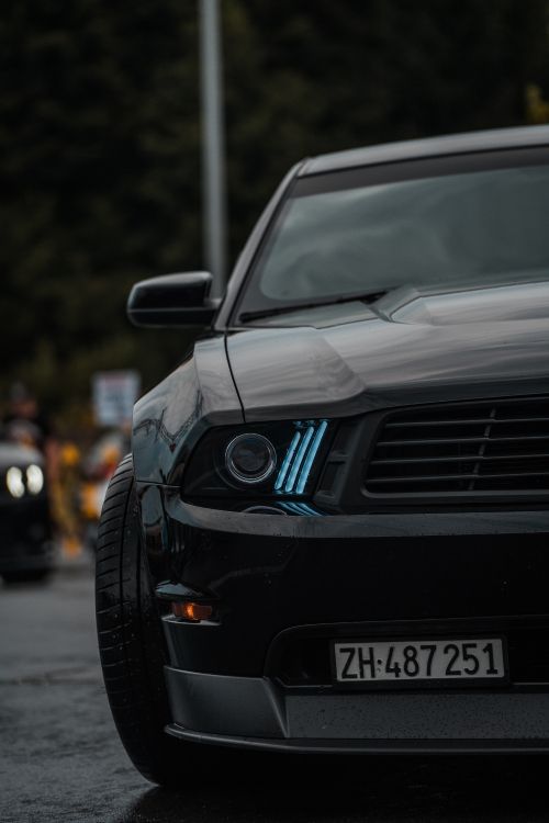 汽车外, 谢尔比野马, 超级跑车, 保险杠 壁纸 4000x6000 允许