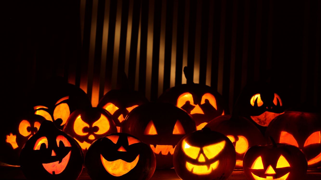 Calabaza, Citrouille, Cucurbita, Jack o Lantern, Halloween. Wallpaper in 2560x1440 Resolution