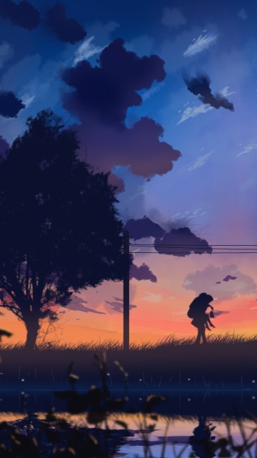 Image silhouette of person walking on field during sunset