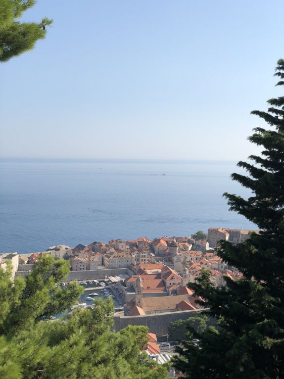 房地产, 住宅区, 屋顶, Evergreen, 度假胜地 壁纸 1536x2048 允许