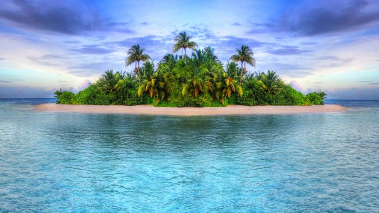 Image green palm trees on island during daytime