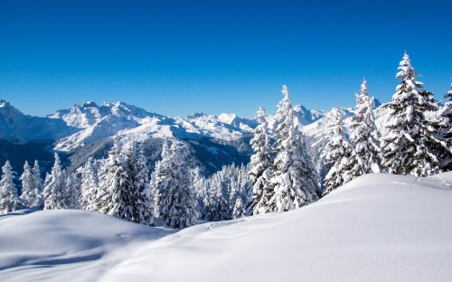 Image snow covered mountain under blue sky during daytime