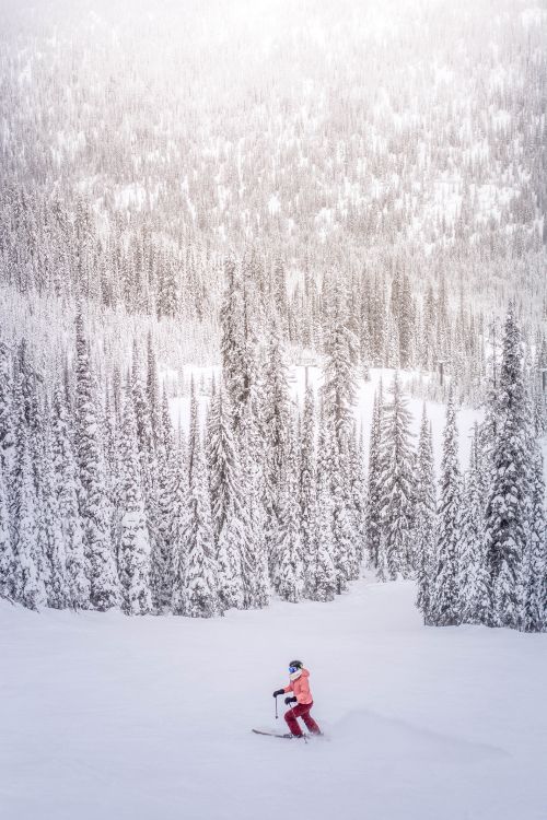 Person in Red Jacket Standing on Snow Covered Ground Near Trees During Daytime. Wallpaper in 3926x5889 Resolution